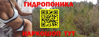 альфа пвп Заводоуковск