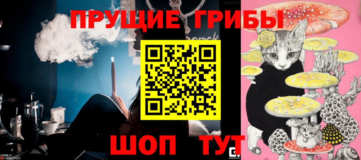 Псилоцибиновые грибы GOLDEN TEACHER  наркошоп  Лосино-Петровский  Вход с VPN  Галлюциногенные грибы Psilocybine cubensis 