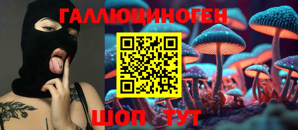 Псилоцибиновые грибы мухоморы Лосино-Петровский